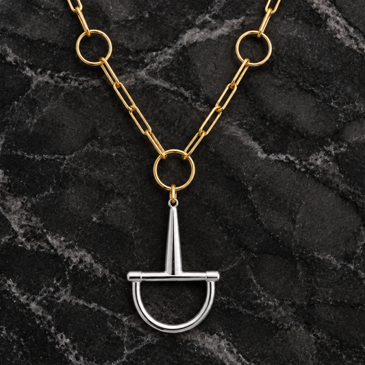 Two-tone statement chain horsebit necklace 23.5 inches by DX Collection, LLC, featuring bold links and a sleek design.