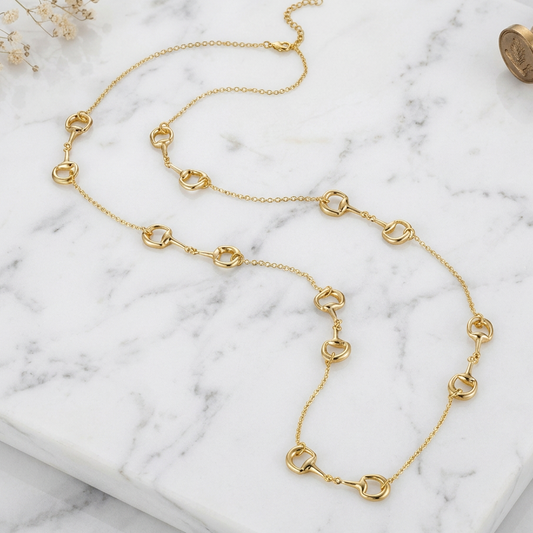 Joseph Anthony Inc. 7-Station Horse Bit Necklace, 36-inch silver-toned jewelry with equestrian-inspired design.