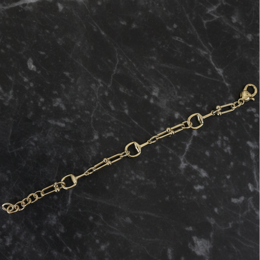 Gold Links and Horse Bit Bracelet
